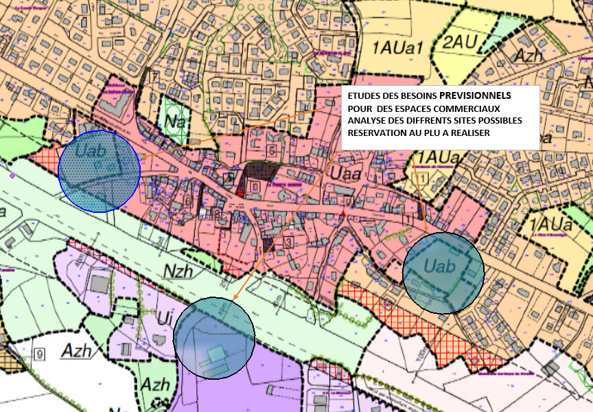LA TRINITE SURZUR  ZONES A RESERVER   PROJETS COMMERCIAUX